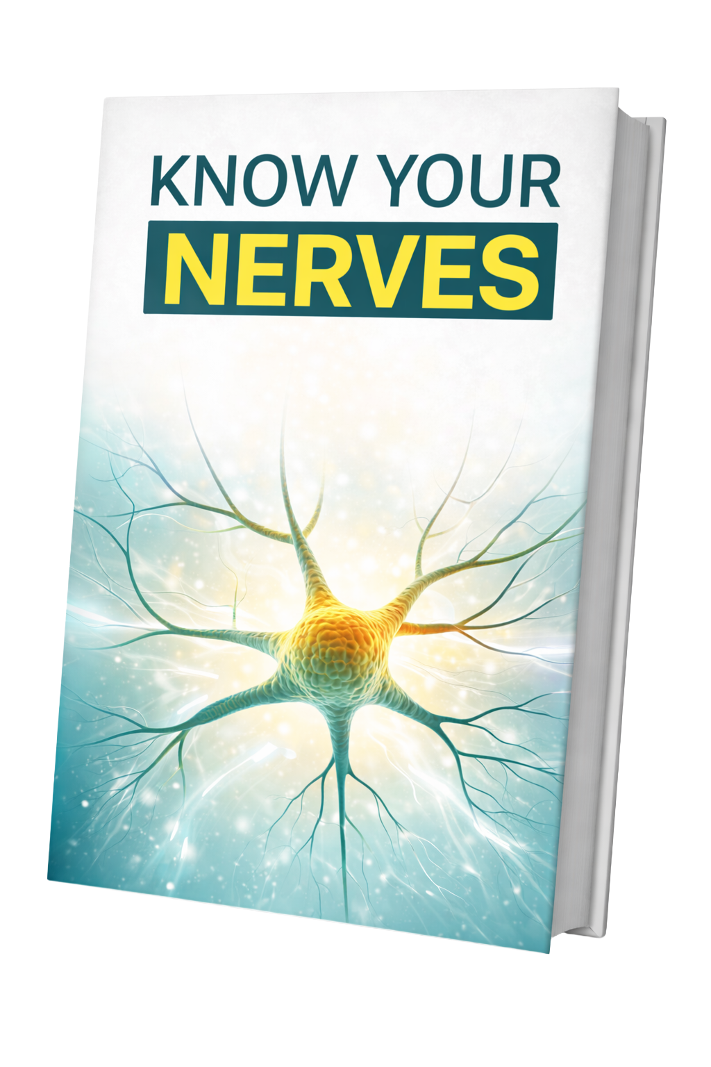 Know Your Nerves bonus